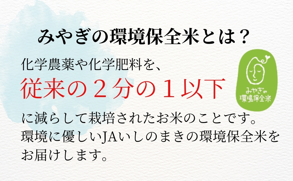 【令和7年産米受付開始！】 【新米】 宮城県産 ササニシキ