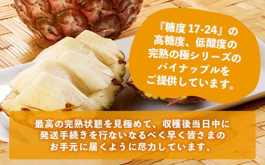 ＜期間限定 春フェア＞《2026年4月以降順次発送》お試し用 ピーチパイン 2玉 (約1.3kg) | 石垣島産 パイナップル 沖縄 石垣島 石垣 八重山 パイン ピーチパイン 数量限定 沖縄県 期間