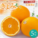 【ふるさと納税】【先行受付 令和7年3月より発送】佐賀県産柑橘『清見』約5000g【フルーツ 果物 みかん オレンジ 柑橘 デザート ふるさと納税】(H108110)
