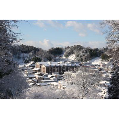 ふるさと納税 二本松市 大七　名滴撰　J(純米生もと、極上生もと720ml×各1本) |  | 03