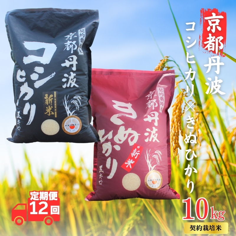 【12カ月定期便】令和7年産 京都丹波産 こしひかり・きぬひかり 食べ比べセット 10kg 合計120kg