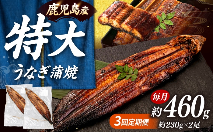 
                  全3回定期便 特大！ 鹿児島産うなぎ 蒲焼2尾セット ▼ おすすめ 人気 国産 蒲焼き たれ タレ付き 海鮮  定期便 桂川町/山水商事 [ADAH012]
                
