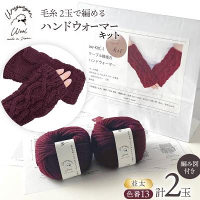 ふるさと納税 江南市 毛糸2玉で編めるケーブル模様のハンドウォーマーキット 13番色