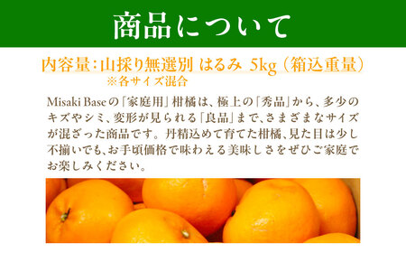 【先行受付】【数量限定】【山採り無選別】はるみ 約5kg ※離島への配送不可（2027年2月中旬より順次発送） IKTAB011 