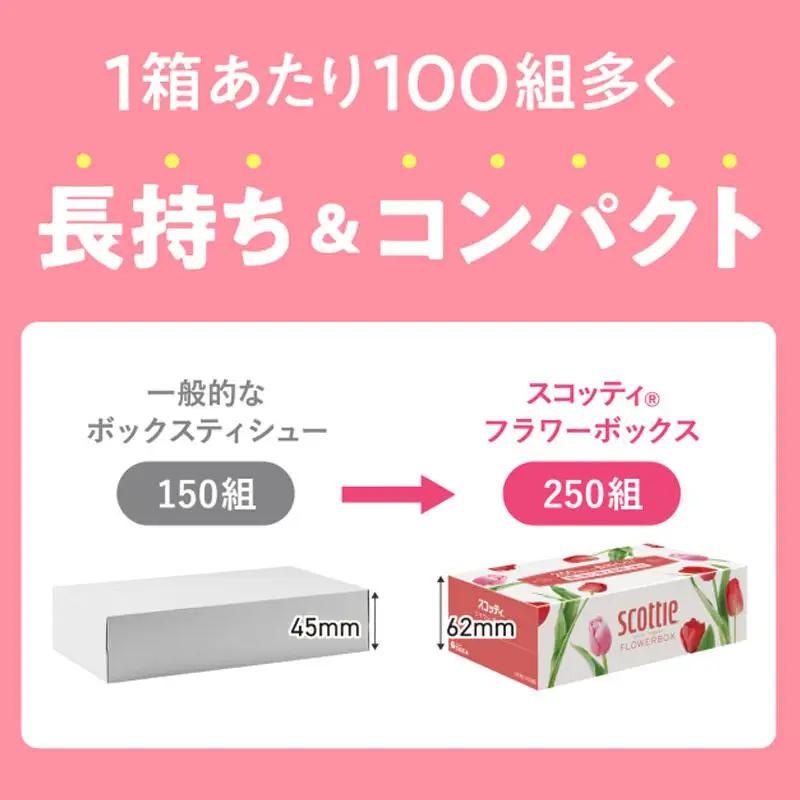 《4ヶ月ごとに3回お届け》定期便 ティッシュペーパー スコッティ ティシュー フラワーボックス 250組 5箱パック×1パック 秋田市オリジナル 最短翌日発送
