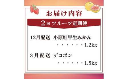旬のフルーツ定期便 2回 Kコース フルーツ 定期便