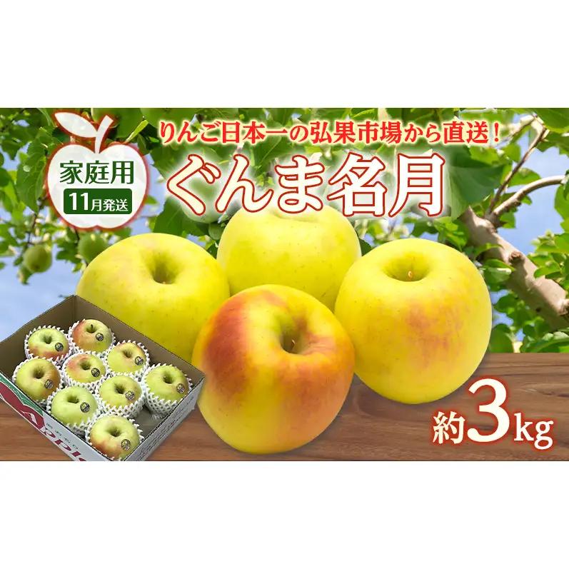 りんご 【 11月発送 】 家庭用 ぐんま名月 約 3kg　リンゴ 林檎 青森りんご 糖度 13度 甘い 酸味 デザート フルーツ 果物 お取り寄せ 産地直送 旬 季節限定 弘果物流 青森県 西目屋村 西目屋村産