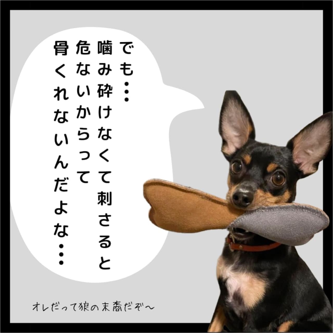 鹿骨髄まるごとふりかけ 2個セット　【04301-0511】_イメージ3