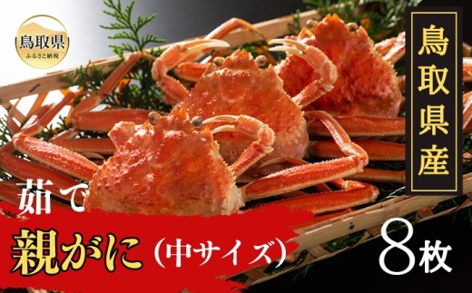 鳥取県産　茹で親がに　大【期間限定】_T2600097 ふるさと納税 鳥取 かに カニ 蟹 海鮮 海の幸 冬の味覚 数量限定