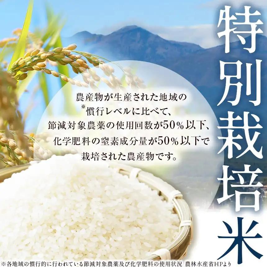 お米 にじのきらめき 白米 2kg |栃木県 矢板市