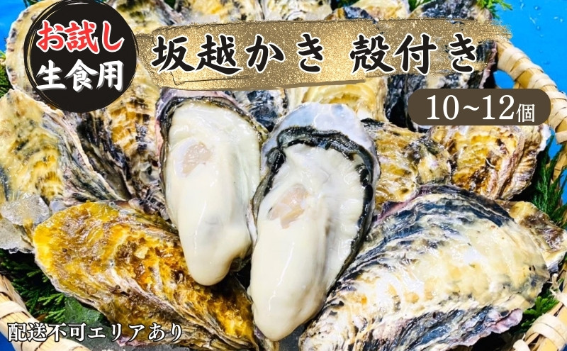 
牡蠣 生食用 お試し 坂越かき 殻付き 10～12個[ 生牡蠣 真牡蠣 かき カキ 一人暮し 冬牡蠣 ]
