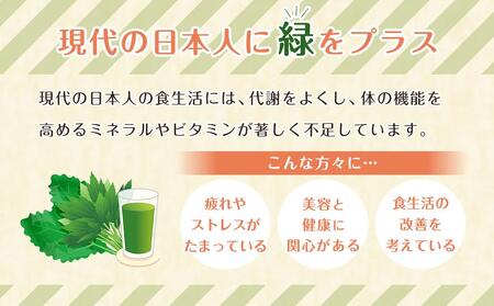 りんご青汁【生】冷凍1箱（約100ｇ×28袋）| 健康 美容 乳酸菌 ケール 青汁 冷凍 毎日 青汁 飲みやすい 青汁 遠藤青汁 新鮮 青汁 国産 ケール 青汁 食物繊維 青汁 無農薬 生青汁 人気 