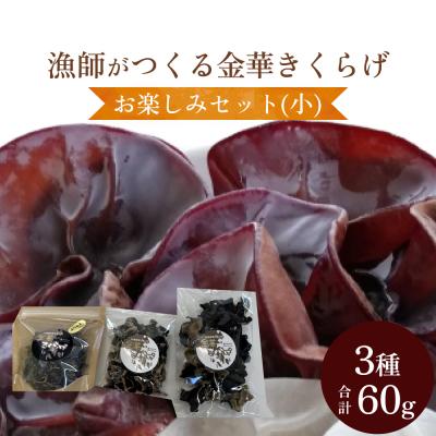 ふるさと納税 石巻市 漁師がつくる金華きくらげ(乾燥)お楽しみセット(小)
