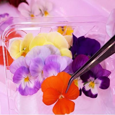 ふるさと納税 播磨町 食用のエディブルフラワー(生花)×2パック・サラダクレソン×1袋【Aセット】 |  | 03