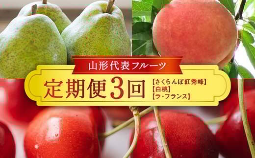 ≪数量限定 期間限定≫2026年先行予約 【山形代表フルーツ定期便】 3回定期便 FSY-2323