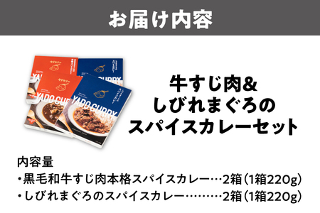 スパイスカレー専門店「ヤドカリー」のレトルトカレー　国産黒毛和牛すじ＆しびれマグロセット（計4食セット）_OS197-0006