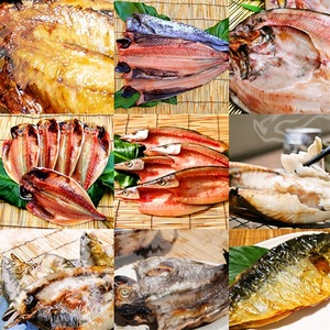 おまかせ干物セット  2倍セット【 惣菜 おかず 魚 ひもの 神奈川県 小田原市】