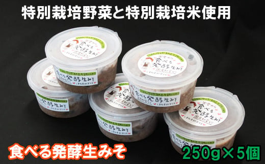 
出雲の食べる発酵生みそ２５０ｇ×５個【1-144】
