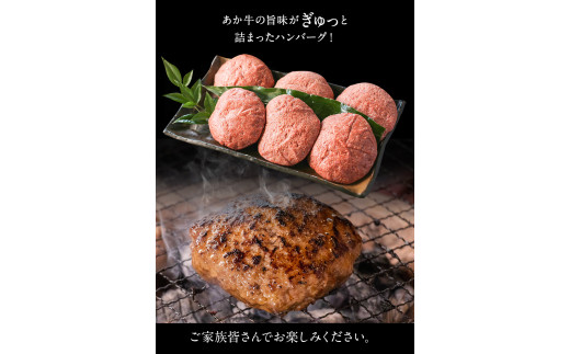 あか牛 ハンバーグ6個（180g×6個） 幸路《60日以内に出荷予定(土日祝除く)》  赤牛 ---so_fhakakhumb_60d_24_18000_6p---