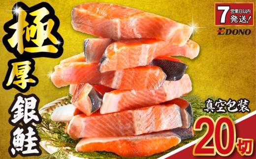 【スピード配送】 極厚 銀さけ 2切 真空包装 20切 （ 2切 × 10パック ） 厚切り 厚切 銀鮭 さけ 鮭 しゃけ サーモン 切身 切り身 冷凍 真空 パック 個別包装 小分け 個包装 肉厚 魚 焼き魚 新鮮 魚介 魚貝 海鮮 塩 酒 パウチ ギフト お取り寄せ おかず 弁当 朝食 夕食 塩焼き ムニエル ふるさと納税鮭 ふるさと納税 送料無料 千葉県 銚子市 株式会社エドノフーズ