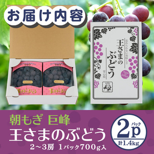 ＜先行予約受付中！2025年9月上旬から順次発送予定＞王さまのぶどう 朝もぎ 巨峰(計1.4kg・700g×2パック)国産 ぶどう 葡萄 フルーツ 果物 くだもの 果実 セット【100702400】【