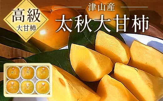 ＜先行受付＞津山産高級大甘柿　太秋大甘柿【1035172】
