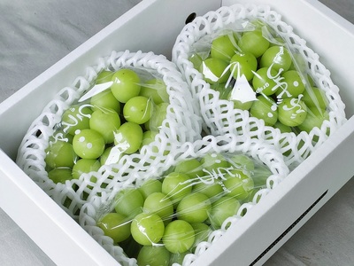 【定期便：全３回】旬のフルーツ定期便（キングデラ、和梨、シャインマスカット）　0140-2601