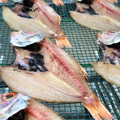 ふるさと納税 舞鶴市 贅沢干物セット |  | 03