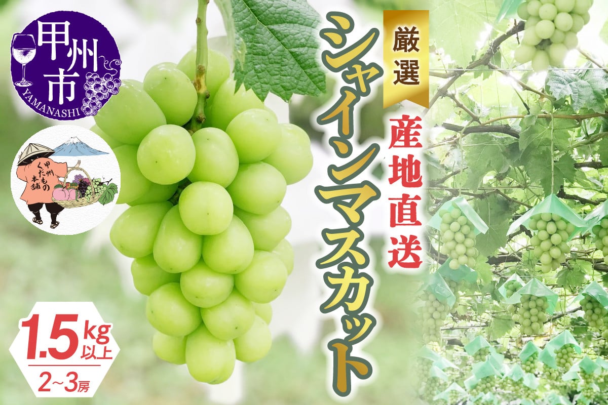 特選高級シャインマスカット　朝採れ直送1.2kgUP（2～3房）(KKH)
