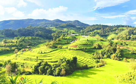 Saphanオリジナルドリップコーヒー 15個セット コーヒー ドリップ ドリップパック フェアトレード ギフト 大阪府高槻市/株式会社Saphan[AODS001]