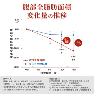 烏龍茶 定期便 3ヶ月 サントリー 2L 6本 烏龍茶