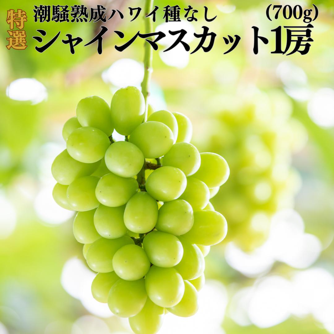 28K.潮騒熟成特選ハワイ種なしシャインマスカット1房