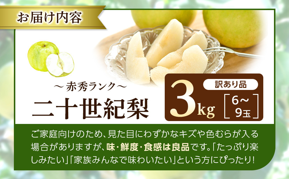 1265.【2026年度発送先行予約】訳あり　二十世紀梨　3kg