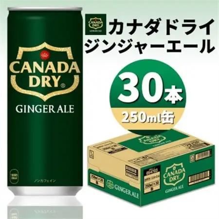 カナダドライジンジャーエール250ml缶×30本【1551264】