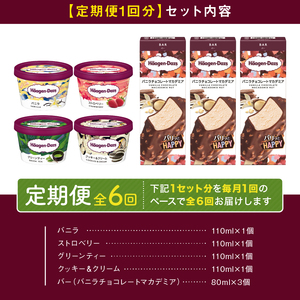 ＜全6回定期便・連続＞ハーゲンダッツ『ミニカップ＆バーセット(合計42個)』アイスクリーム アイス スイーツ デザート_H0026-031