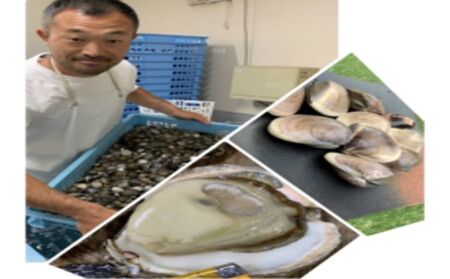 はまぐり ゼンナ 冷冷凍 2kg入り 魚貝類 旨み はまぐり