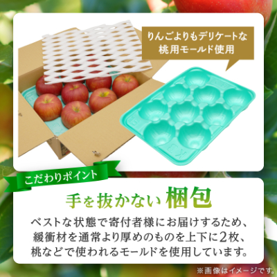 【品評会最高賞の福士農園からお試し品をお届け】糖度13度以上保証!「サンふじ」訳あり りんご【配送不可地域：離島・沖縄県】