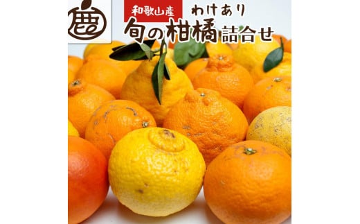 ［先行予約］家庭用 柑橘詰合せ2.5kg+250g（傷み補償分）［訳あり・わけあり］［有田の春みかん詰め合わせ・フルーツ詰め合せ・オレンジつめあわせ］［光センサー選別］［IKE116］