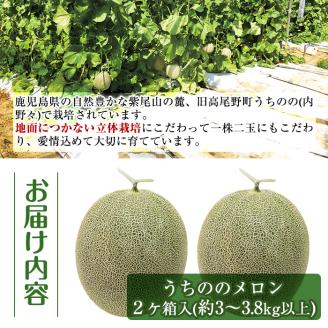 i605 ＜2025年5月下旬～7月下旬の間に発送予定＞うちののメロン(2玉・計3kg以上) メロン 果物 くだもの フルーツ 3kg以上 2玉 青肉 国産 九州産 鹿児島県産 【山ん神】