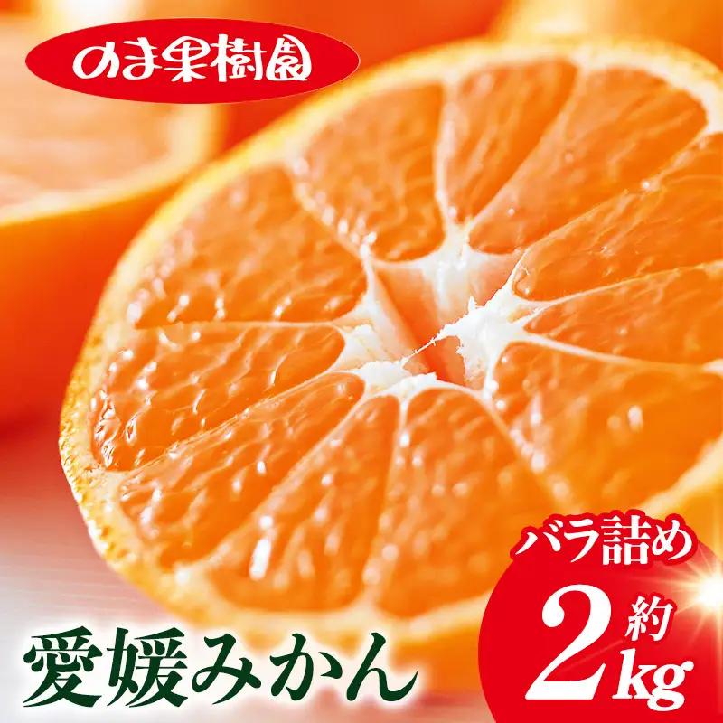 【先行予約】愛媛みかんバラ詰め（2kg）