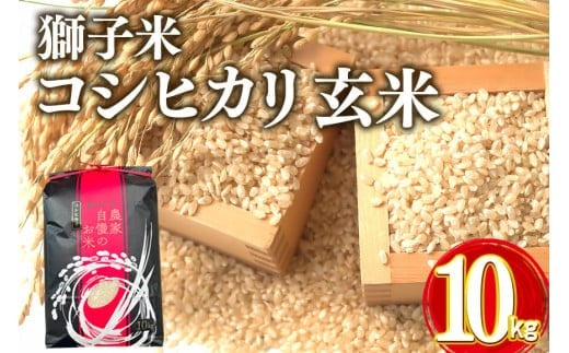 【令和7年産】獅子米 コシヒカリ 玄米 10kg 岡田ファーム コンテスト受賞米 お米 米 おこめ ブランド米 こしひかり 10キロ 国産 単一原料米 コメ こめ ご飯 銘柄米 茨城県産 茨城 産直 産地直送 農家直送 ごはん 家庭用 贈答用 お取り寄せ ギフト 茨城県 石岡市 (B02-003)
