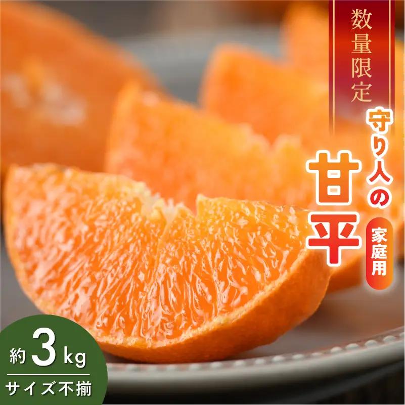 【先行予約】【数量限定】守り人の甘平 3kg（家庭用）
