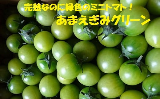 あまえぎみ（グリーン）