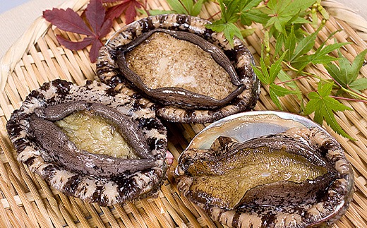 唐津産活きあわびの酒蒸し(だし付200g) ギフト