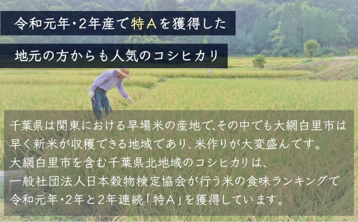 令和7年産 千葉県産「コシヒカリ」5kg（5kg×1袋） お米 5kg 千葉県産 大網白里市 コシヒカリ 米 精米 こめ 送料無料 A052