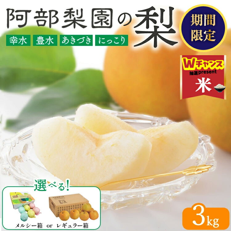 【ふるさと納税】＼9末まで 寄附額改定／【選べる梱包・品種】阿部梨園の梨（3kg　メルシー箱・レギュラー箱）幸水・豊水・あきづき・にっこり　※離島への配送不可