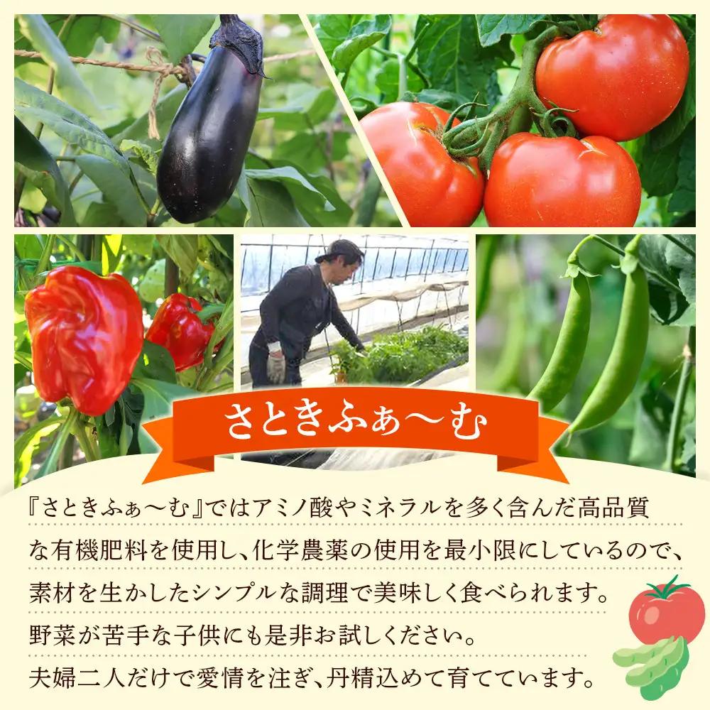 【先行予約】旭川のおまかせ野菜セット(トマト2kg＋3種以上)(2026年7月下旬発送開始) 野菜セット _05910