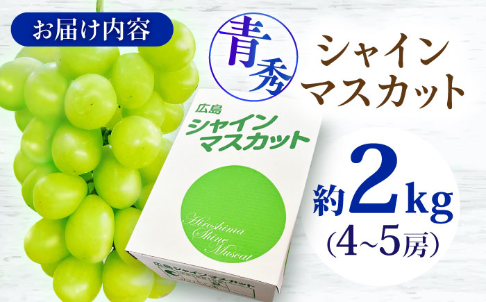 【先行予約】【9月中旬から9月末に順次発送】 ぶどう シャインマスカット 2kg（4房から5房 青秀） 露地栽培 シャインマスカット マスカット 果物 フルーツ ぶどう 葡萄 三次市/西田ぶどう園 [