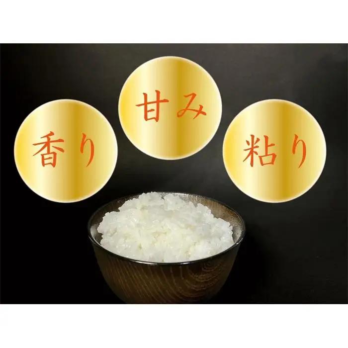 【令和7年】【南魚沼産】コシヒカリ 白米5kg｜コシヒカリ