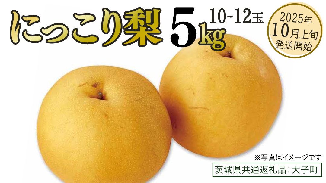 にっこり梨 約5kg (10～12玉)【2025年10月上旬発送開始】(茨城県共通返礼品：大子町) 梨 なし 果物 くだもの フルーツ にっこり